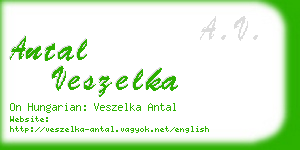 antal veszelka business card